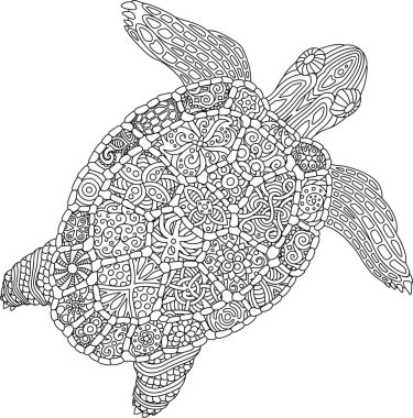 Boyama kitabı sayfası beyaz arka plan üzerinde kaplumbağa ile