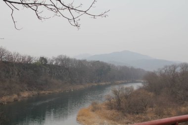 güzel bir nehir manzarası