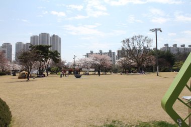 çim ile geniş bir park