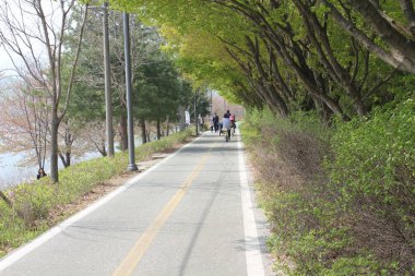 baharda görmek için güzel çiçekler