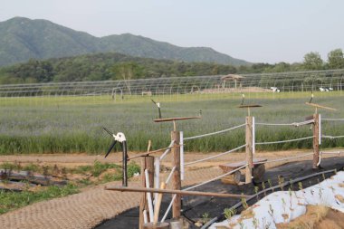 Doğanın harika ve güzel manzaraları
