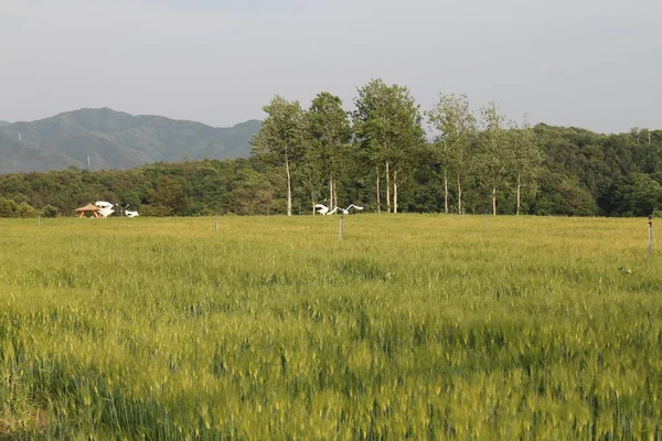 Doğanın harika ve güzel manzaraları
