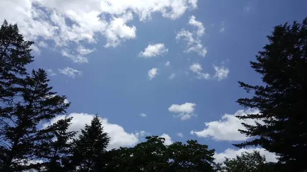 Ett Vitt Moln Som Flyter Den Blå Himlen — Stockfoto