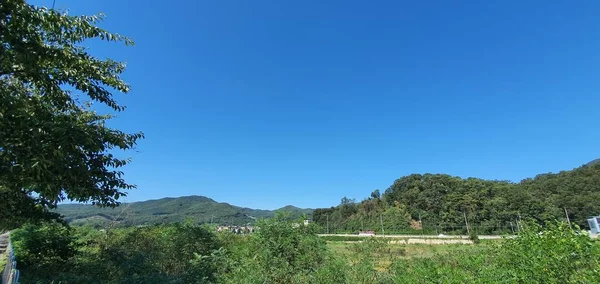 Belo Cenário Com Céu Azul — Fotografia de Stock