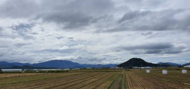 Güzel bir doğa manzarası.