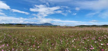 Güzel bir doğa manzarası.
