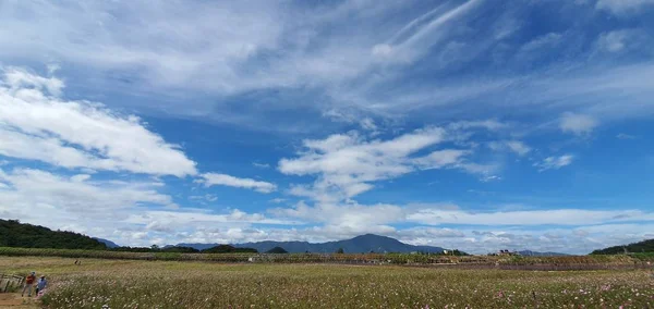 Schöne Aussicht Auf Die Natur — Stockfoto