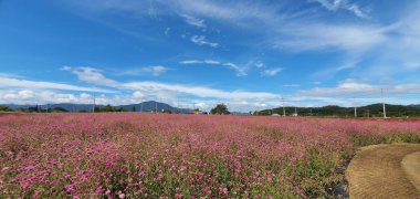 Güzel bir doğa manzarası.