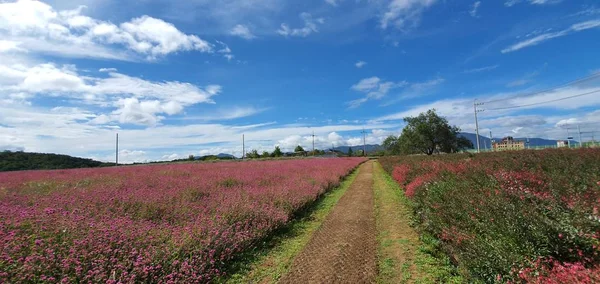 a beautiful view of nature at ease