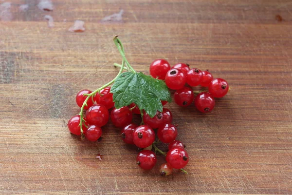 Sprigs Red Currant — Stock Photo, Image