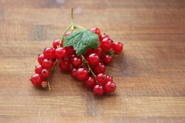 Ramitas Grosella Roja — Foto de Stock