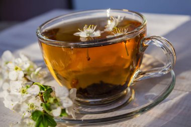 Çay. yeşil çay. Bitkisel çay. Nane yaprağı. Elma lezzet çay. Apple ile bir cam fincan çay büyüdü ve kireç dilimlenmiş kuru çay yaprakları. bir restoran veya çayevinde çay room.tea linden ile kayrak bir plaka üzerinde otlar çay ve nane yaprakları