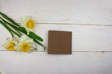 Nergis çiçek bahçesinde bir güneşli yaz veya bahar günü çiçek. Çiçek dekorasyon kartpostal güzellik ve tarım konsept tasarımı için. Güzel bir tropik bahçe çiçek. Renkli çiçek. çiçek desenli çiçek bir buket çiçek arka plan