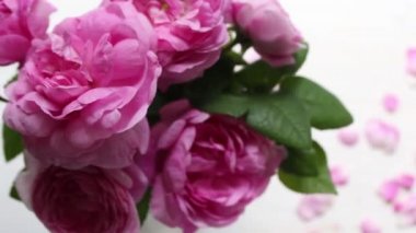 Anneler günü kartı metin ve çiçekler