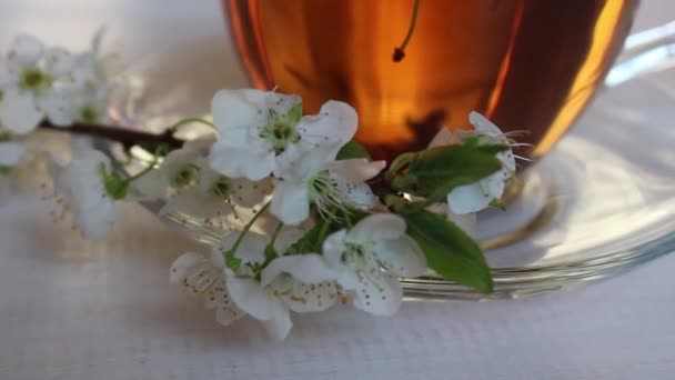 Tea Fekete Lime Zöld Gyógynövény Gyógyító Gyógyító Italokat Teaszertartás — Stock videók