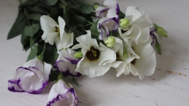 Veelkleurige Bloemen Een Witte Achtergrond Een Briesje Waait Bloemblaadjes Trillen — Stockvideo