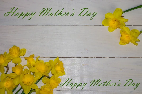 Congratulations Mother Day Daffodils Daffodils Copy Space — Stock Photo, Image