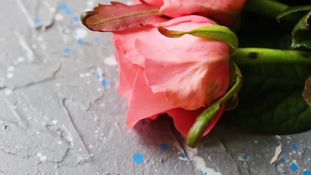 Τριαντάφυλλα Μπλε Φόντο Αντανάκλαση Των Τριαντάφυλλων — Αρχείο Βίντεο