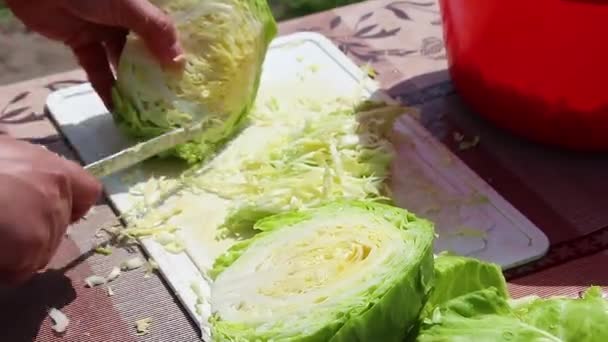 Cortando Repollo Una Tabla Madera Cortar Col Con Cuchillo Ensalada — Vídeos de Stock