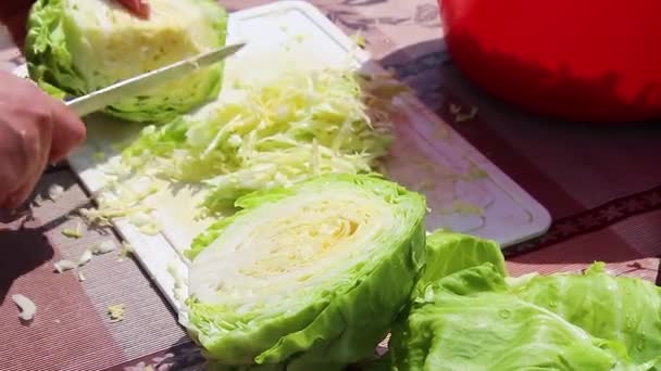 Cortando Repollo Una Tabla Madera Cortar Col Con Cuchillo Ensalada — Vídeos de Stock