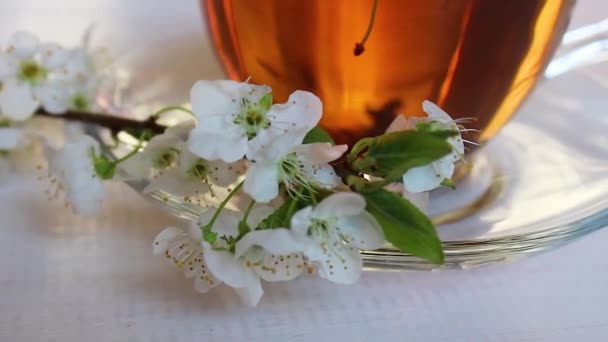 Thee Groene Thee Hete Kruidenthee Met Een Takje Bloemen — Stockvideo