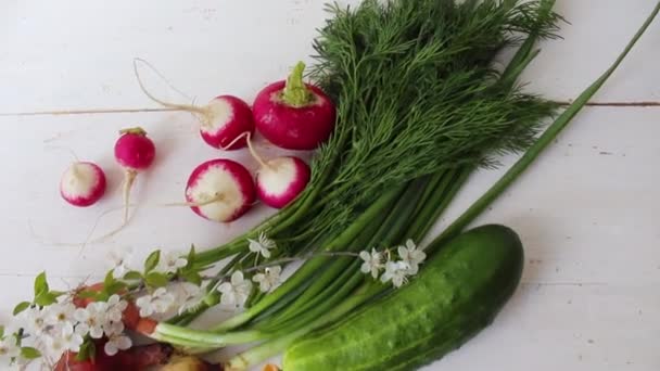 自家製野菜 新鮮な有機野菜 庭の野菜 カラフルな野菜 — ストック動画