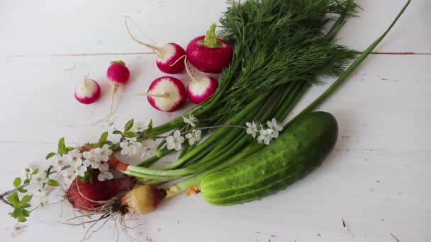 Gemüse Aus Eigenem Anbau Frisches Bio Gemüse Gemüse Aus Dem — Stockvideo