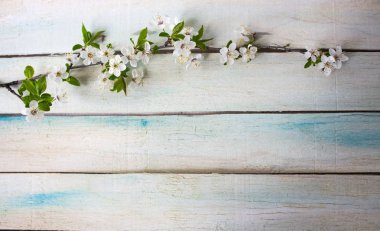 Eski ahşap doku arka plan yüzeyi. Ahşap doku tablo, yüzey 