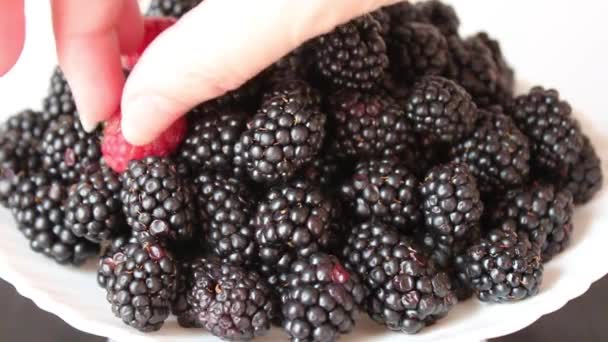 木质背景上的树莓和黑莓浆果 红熟树莓和成熟的黑莓 — 图库视频影像