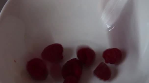 Frambuesas Moras Sobre Fondo Madera Frambuesas Rojas Maduras Moras Maduras — Vídeo de stock