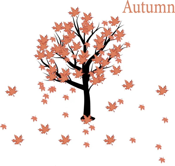 Осенние Деревья Солнечном Октябрьском Парке Освещены Вечерним Солнцем Красочный Осенний — стоковое фото