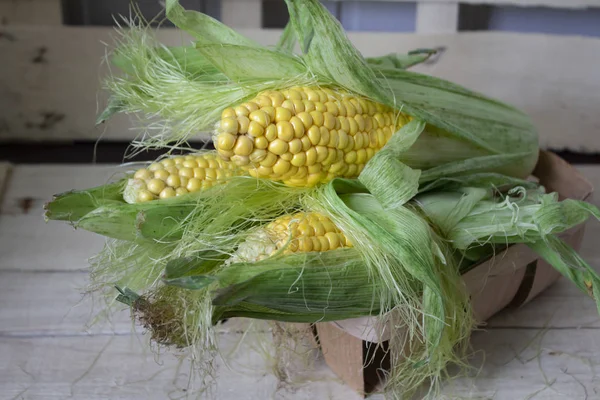 Grains of ripe corn. macro. Corn on the cob, the food is ripe, j