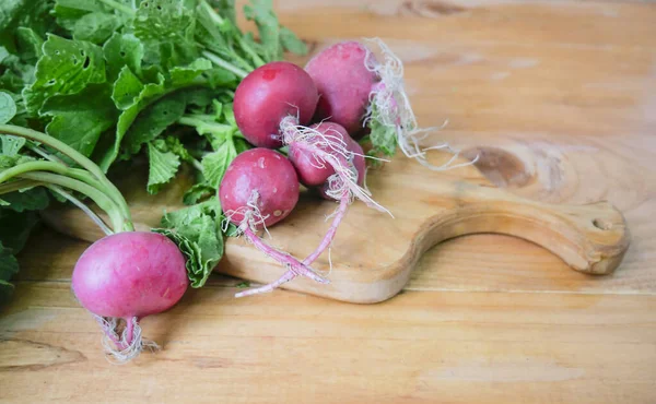 Hortalizas Cosecha Propia Verduras Orgánicas Frescas Vegetales Coloridos Vegetales Saludables — Foto de Stock