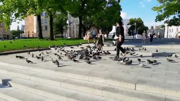 2020 우크라이나 하르키우 드레스를 소녀가 있습니다 비둘기가 여자와 비둘기 진행중 — 비디오
