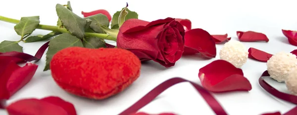 Sevgililer Günü Konsepti Beyaz Arka Planda Taç Yaprakları Olan Kırmızı — Stok fotoğraf
