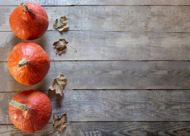 Şükran Günün kutlu olsun. Ahşap bir arka planda balkabakları ve yapraklar. Koyu tahta arka planda balkabaklarıyla ve yapraklarıyla Şükran Gününüz kutlu olsun. Pankart. Metin için boşluk