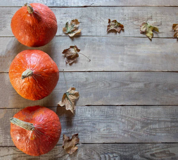 Şükran Günün kutlu olsun. Tahta arka planda üç balkabağı ve yaprak. Metin için çok yer var