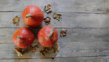 Ev yapımı sebzeler. Taze organik sebzeler. Bahçeden sebzeler. Renkli sebze. Ahşap arka planda sağlıklı sebzeler. Balkabağı. Anner. Kopyalama alanı