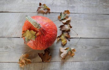 Ahşap bir arka planda balkabağı. Yapraklar. Yukarıdan bak. kopyalama alanı