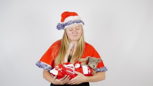 Porträt Eines Mädchens Mit Hund Weihnachten Oder Neujahr — Stockvideo