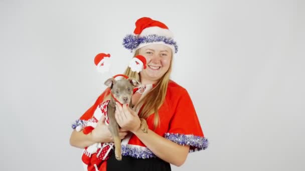 犬を連れた少女の肖像 クリスマスまたは新年 — ストック動画