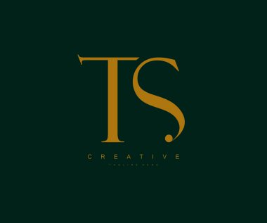 Lüks logo yaratıcı tipografi Ts bağlantılı harfler
