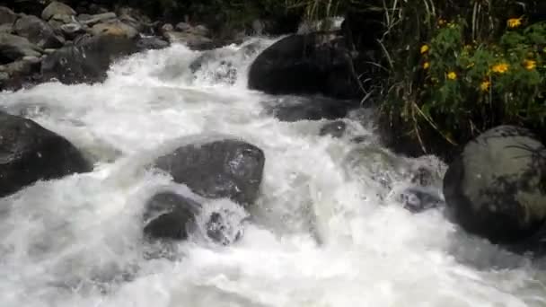 Beauty Mighty River Puntang Mountain — Stock Video