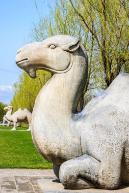 Beijing, Çin - 28 Nisan 2010: Ming Hanedanı mezarlar etki alanı veya Ming Changling. Tören yol, yeşil bitki örtüsü ve mavi gökyüzü boyunca deve heykelinin portre. Şeritte sayıda heykelini.