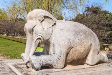 Beijing, Çin - 28 Nisan 2010: Ming Hanedanı mezarlar etki alanı veya Ming Changling. Beyaz-kahverengi dizlerinin üzerinde fil heykelinin portre. Arkada ağaçlar ve mavi gökyüzü.