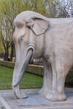 Beijing, Çin - 28 Nisan 2010: Ming Hanedanı mezarlar etki alanı veya Ming Changling. Beyaz-kahverengi baş, tusk ve gövde fil heykelinin portre. Ağaçlar arkada ve ışık mavi gökyüzü.