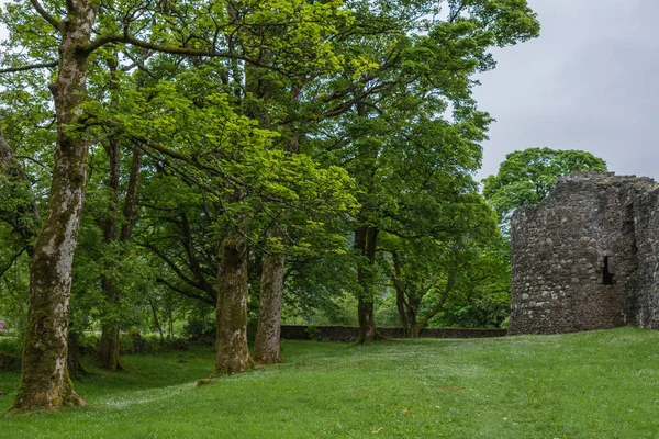 Torlundy 苏格兰 2012年6月11日 森林区域围拢 Invelochy 城堡在灰色天空之下 角落塔和自然石头防御城堡墙壁 主导的绿色和褐色灰色颜色 — 图库照片