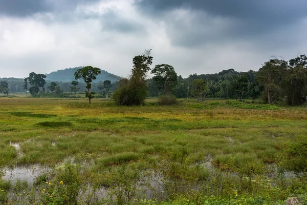 Ilapura Karnataka India Noviembre 2013 Amplio Terreno Pantanoso Bajo Cielo — Foto de Stock