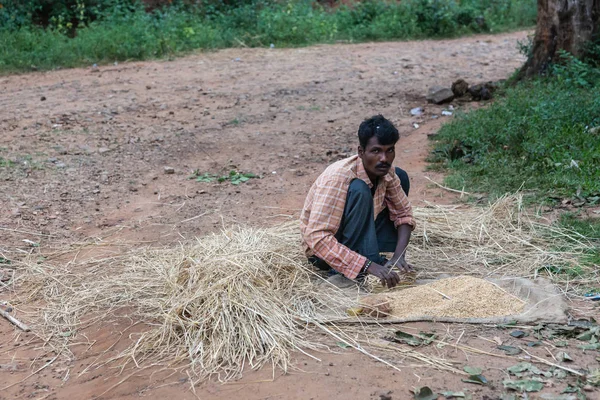 Ayarabeedu フォレスト カルナタカ インド 2013 Threshes 手動で未舗装の道路に沿って緑の森林部族の男を選定 — ストック写真