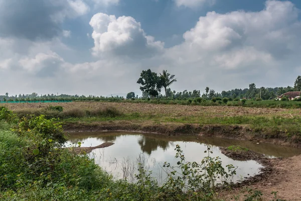 Belathur Karnataka India Noviembre 2013 Amplio Chorro Estanque Agua Lado — Foto de Stock